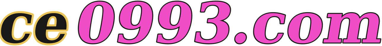 ce0993.com logo